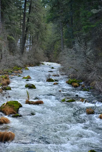 DSC_5963 (Large).JPG